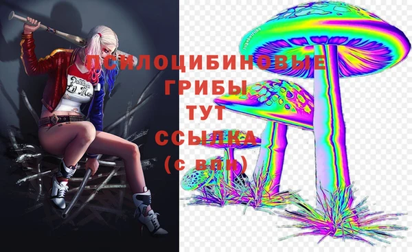 дмт Беломорск