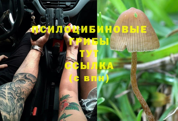 спайс Белоозёрский