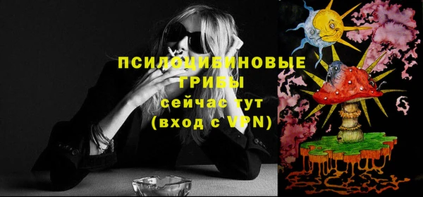 сатива Богородск