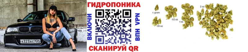 наркота  Белореченск  Шишки марихуана VHQ 